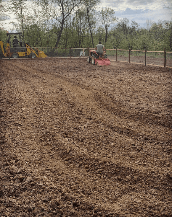 Acasa la Dana Nalbaru si Dragos Bucur 2