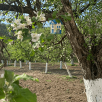 Acasa la Dana Nalbaru si Dragos Bucur 3