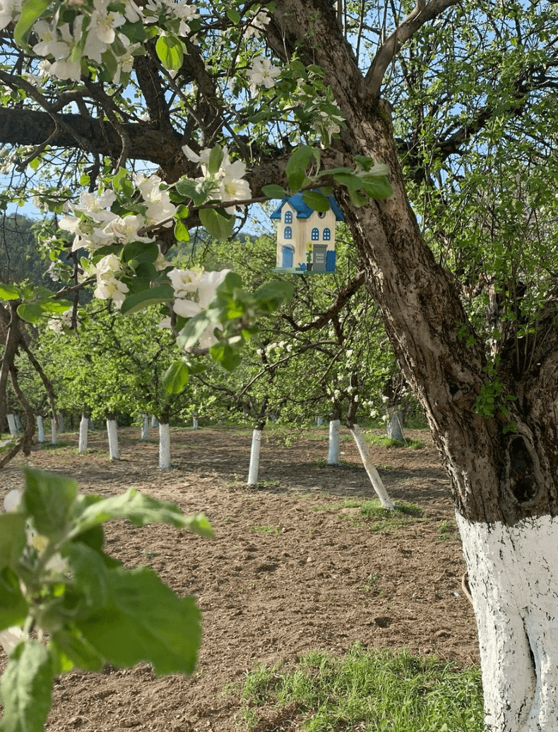 Acasa la Dana Nalbaru si Dragos Bucur 3