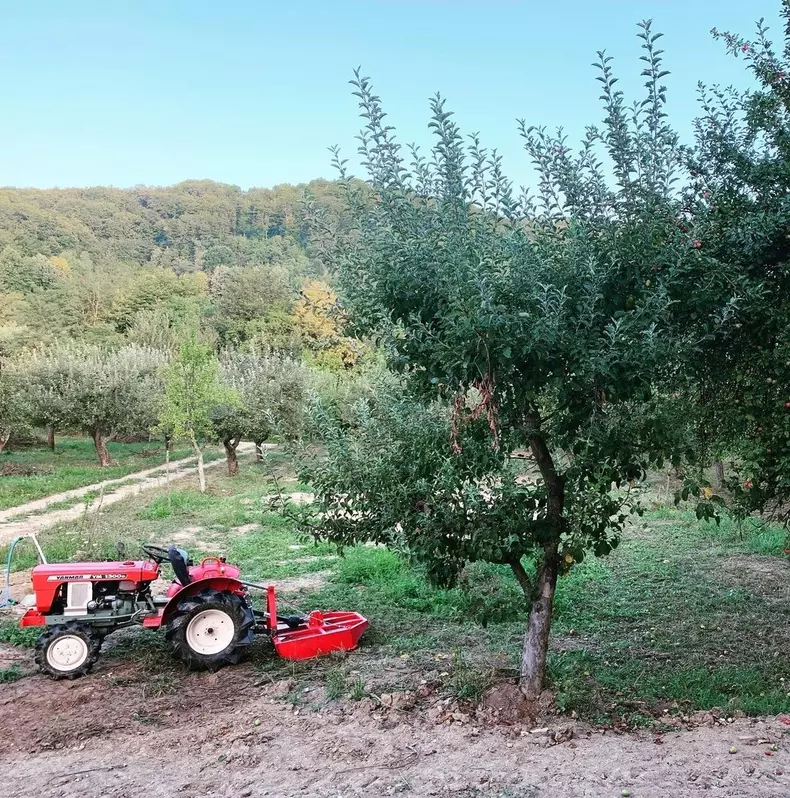 Acasa la Dana Nalbaru si Dragos Bucur 4