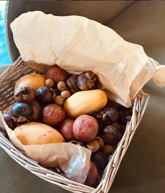 Cadoul inedit primit de Dana Budeanu de la Radu Vâlcan