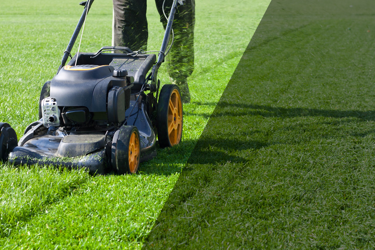 Când se tunde gazonul: dimineața sau seara? Mulți fac greșeala, de asta nu este verde și sănătos