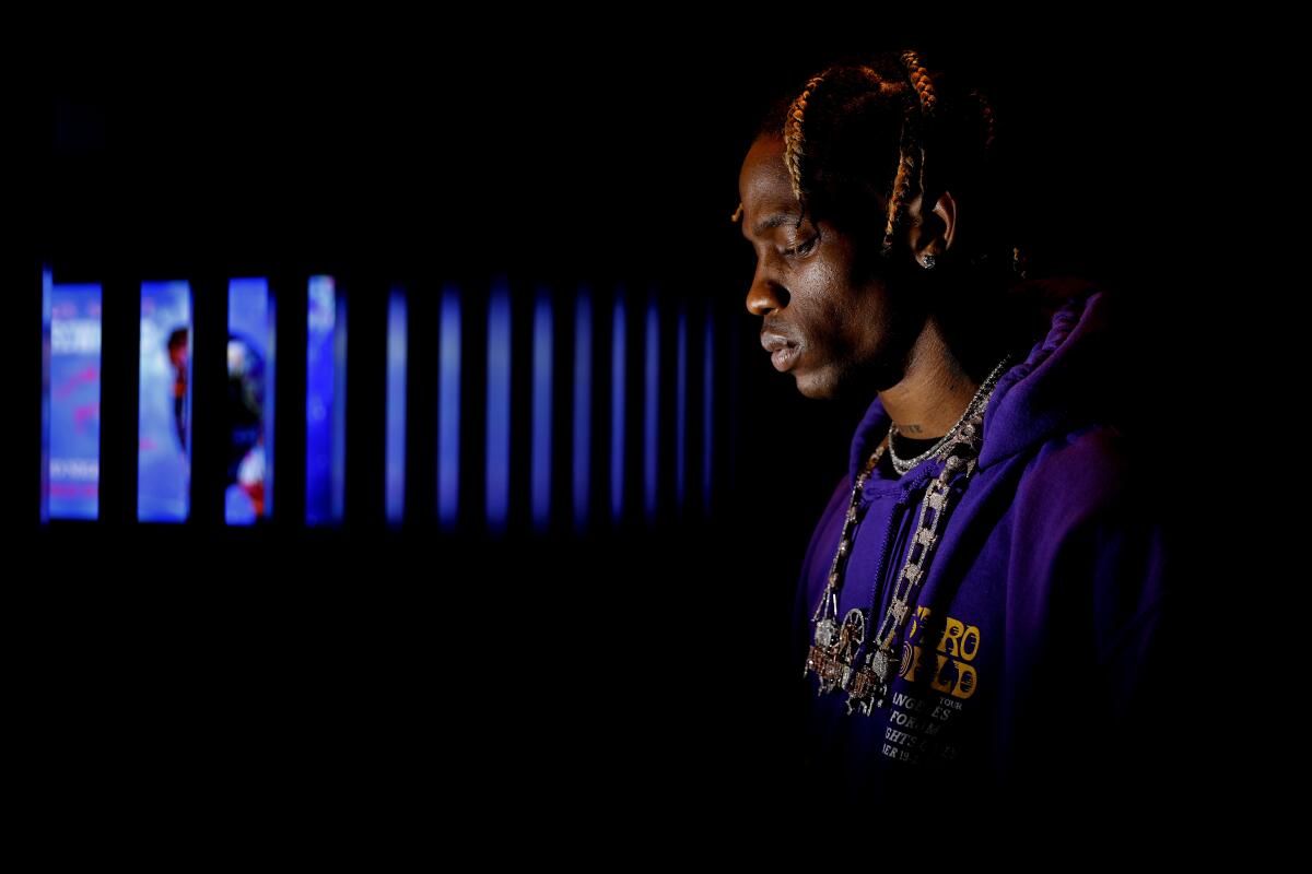 Cat costa un bilet la concertul lui Travis Scott de la Beach Please 1