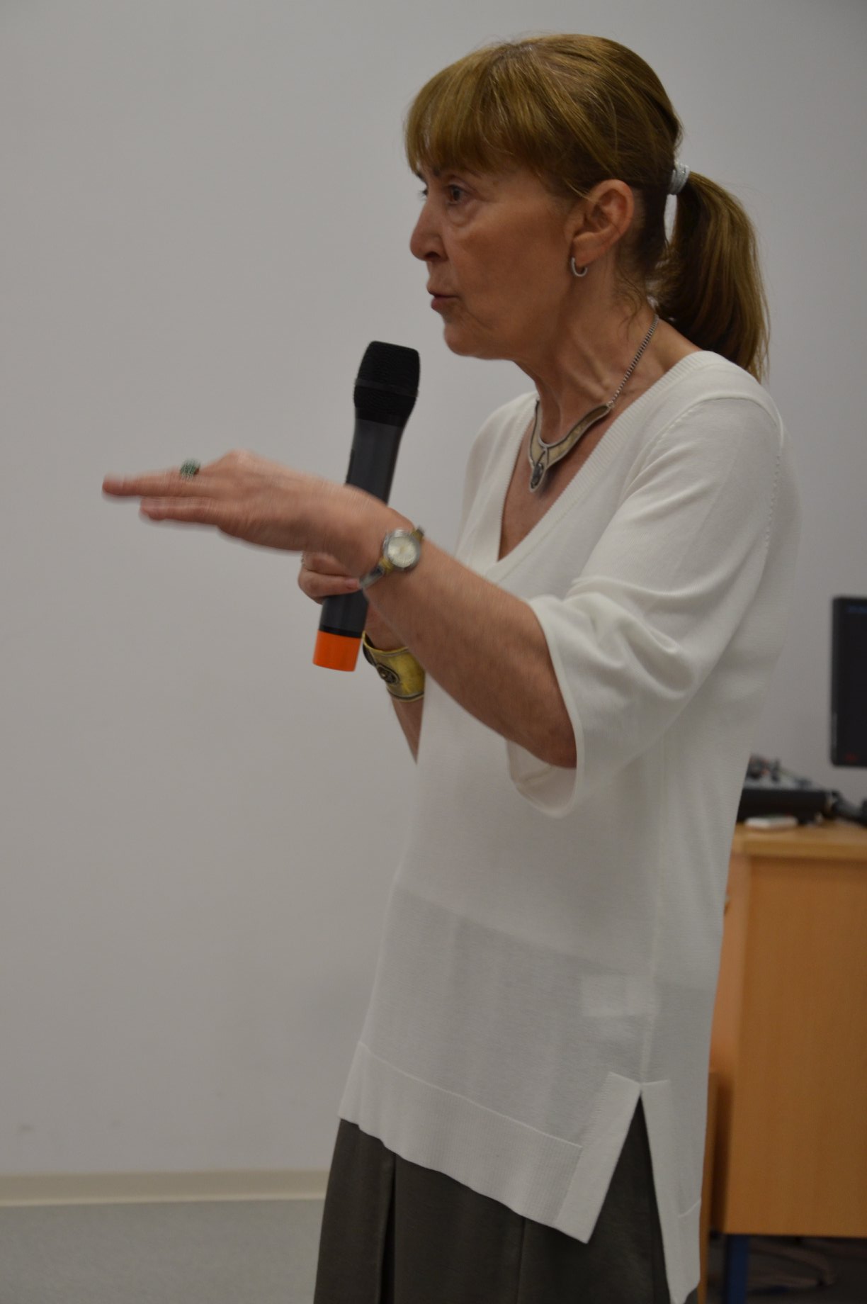 Ce pedeapsa a primit Monica Macovei, dupa ce a accidentat grav un motociclist 1