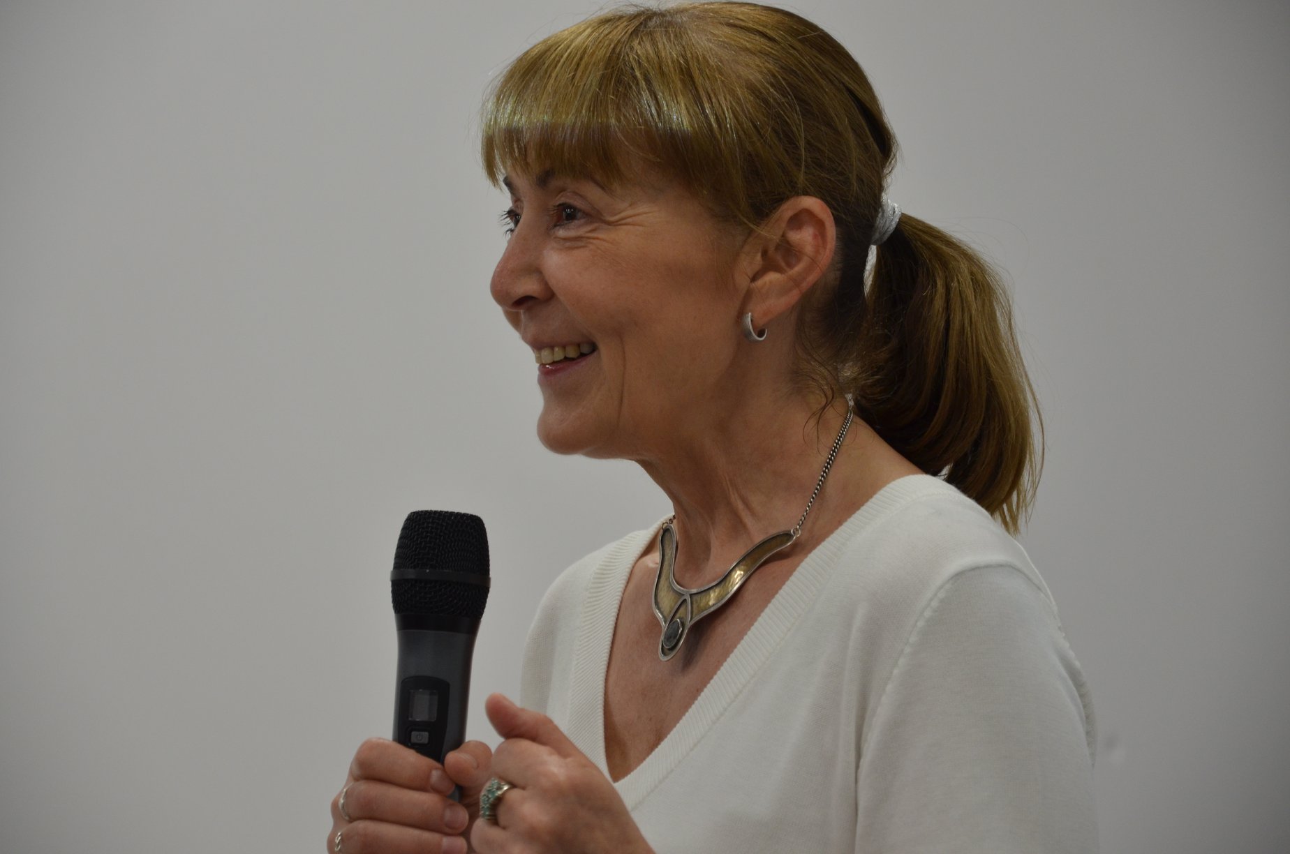 Ce pedeapsa a primit Monica Macovei, dupa ce a accidentat grav un motociclist