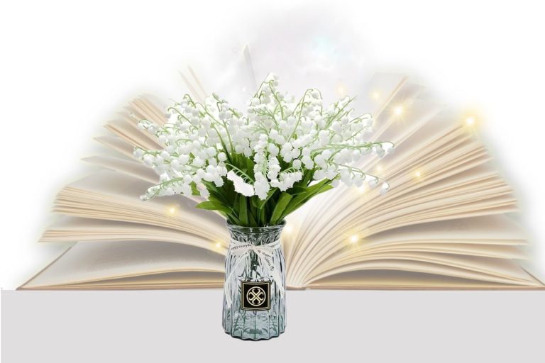 Ce semnifică lăcrămioarele. Mesajul special pe care îl transmit