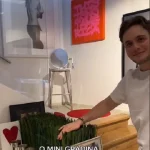 Cum arata casa Andreei Esca 4