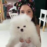 Cum arată mansarda in care locuieste Amalia Enache 12