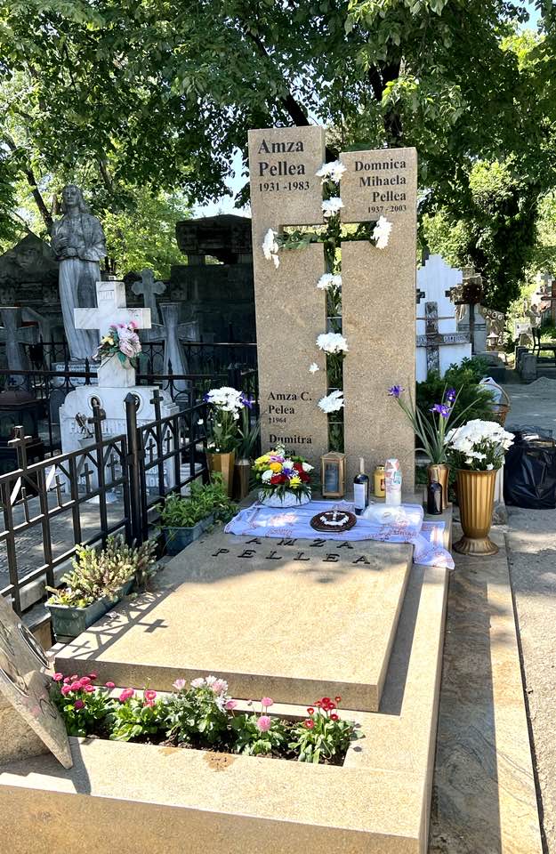 Cum arată mormântul marelui actor Amza Pellea. Imaginea emoționantă postată de fiica lui, Oana Pellea