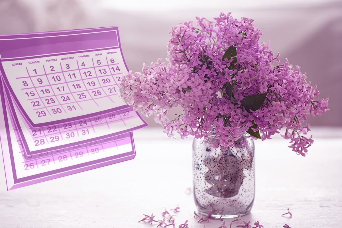 Cum poți să păstrezi liliacul mai mult timp în vază