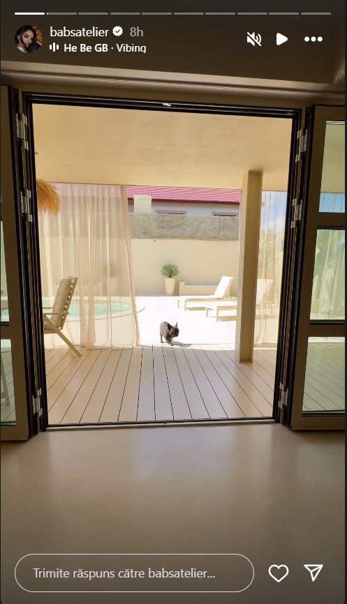 Cum si-a amenajat curtea Claudia Iosif, fosta iubita a lui Dorian Popa 8