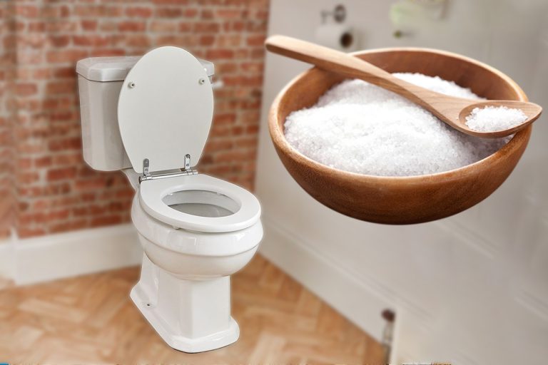 De ce multe gospodine pun sare în toaletă. Trucul e genial, îl vei folosi mereu