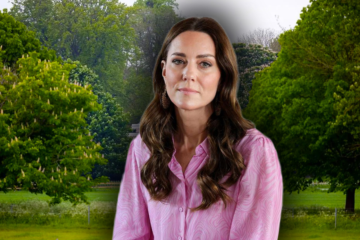 Locul secret unde Kate Middleton plănuiește să se retragă. Aici se va recupera soția prințului William, foarte puțini știu de existența lu