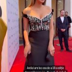 Rochia cu care Andreea Raicu a facut furori la Premiile Gopo 2024 3