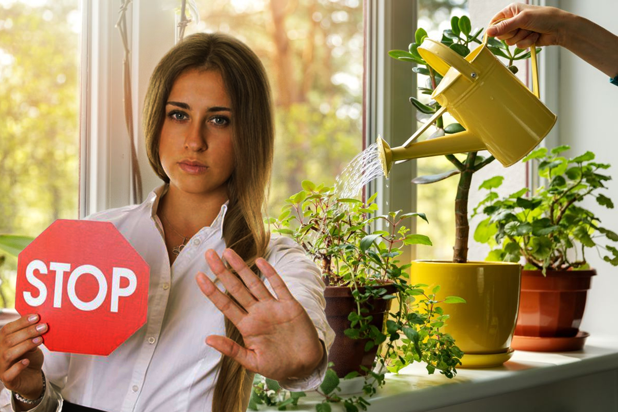 X plante care aduc ghinion in casa