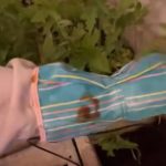 Ce face Andreea Marin seara in gradina casei sale 3