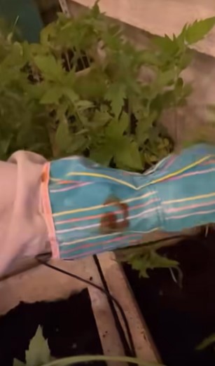 Ce face Andreea Marin seara in gradina casei sale 3