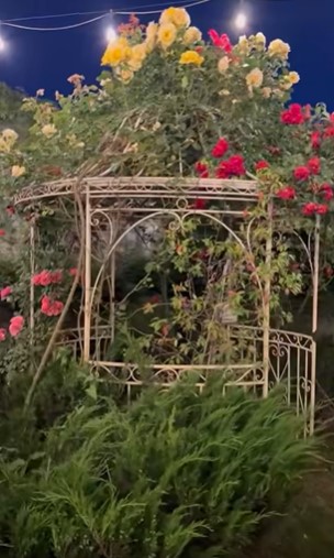 Ce face Andreea Marin seara in gradina casei sale 7