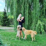 Imagini adorabile cu fiul lui Laurentiu Reghecampf si al Corinei Caciuc 4