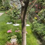 Imagini incredibil de frumoase din gradina Andreei Marin 10