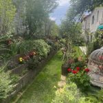 Imagini incredibil de frumoase din gradina Andreei Marin 11