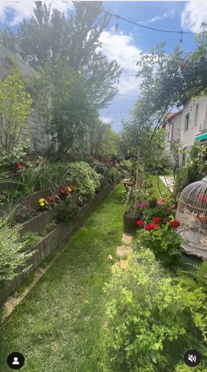 Imagini incredibil de frumoase din gradina Andreei Marin 11