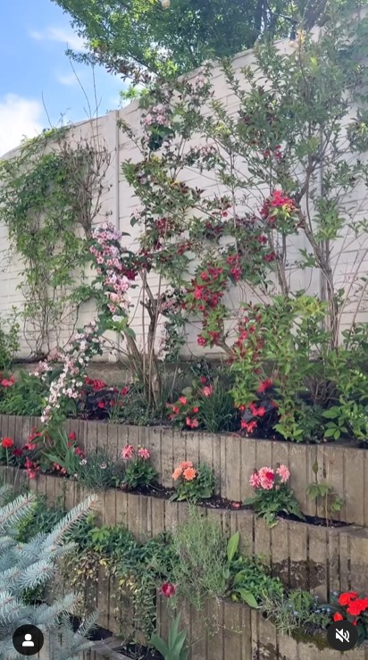 Imagini incredibil de frumoase din gradina Andreei Marin 3