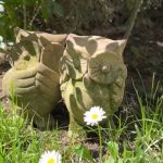 Imagini incredibil de frumoase din gradina Andreei Marin 5