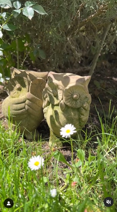 Imagini incredibil de frumoase din gradina Andreei Marin 5