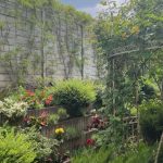 Imagini incredibil de frumoase din gradina Andreei Marin 9