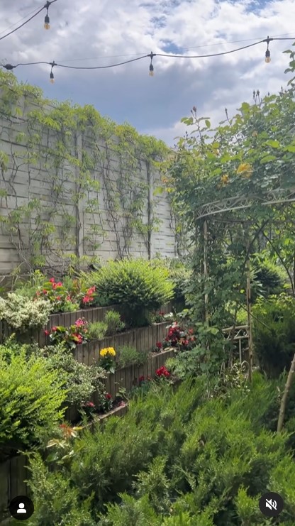 Imagini incredibil de frumoase din gradina Andreei Marin 9