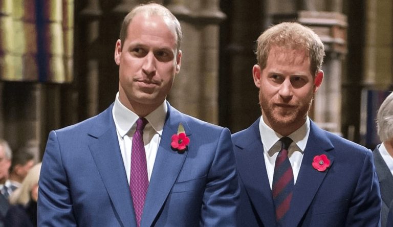 De cât timp nu își mai vorbesc fiii prințesei Diana. William și Harry, excepția de a Casa Regală a Marii Britanii