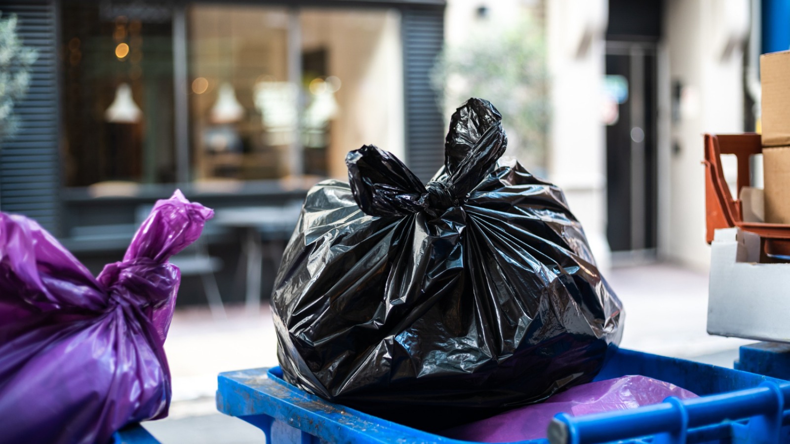 Ce poți face cu sacii de gunoi? Idei inventive