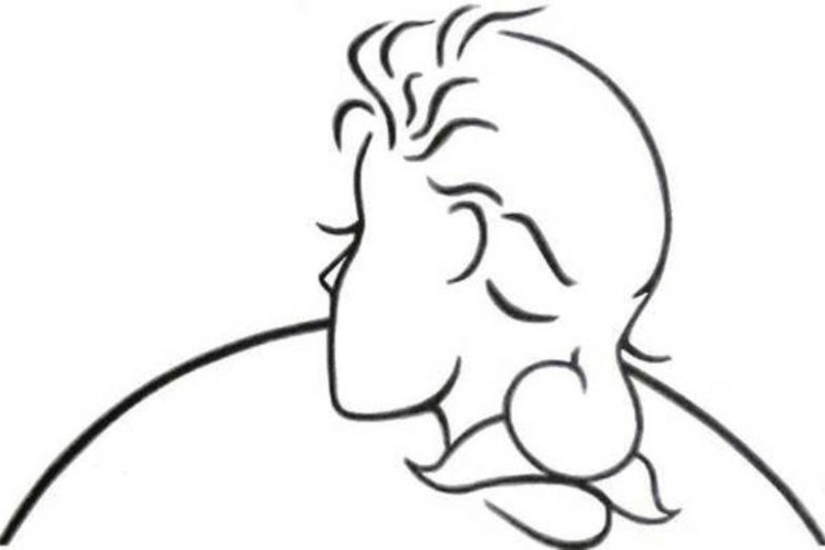 Ce vezi în această imagine?