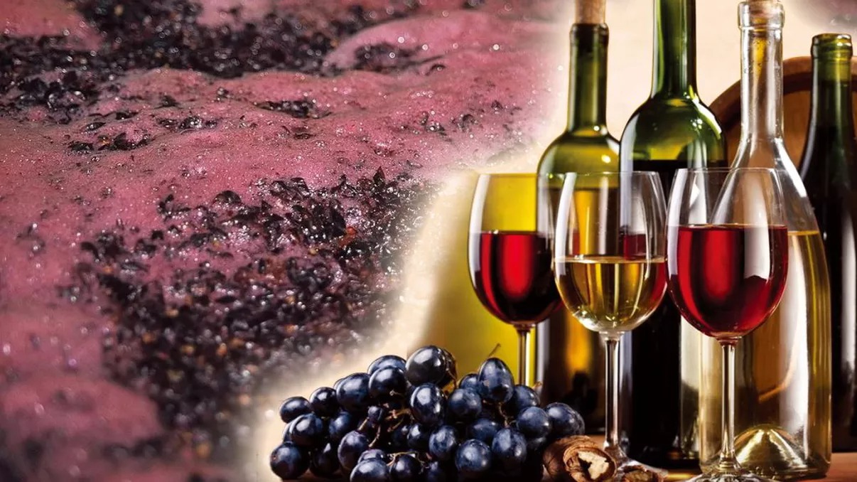 La ce temperatură fermentează vinul