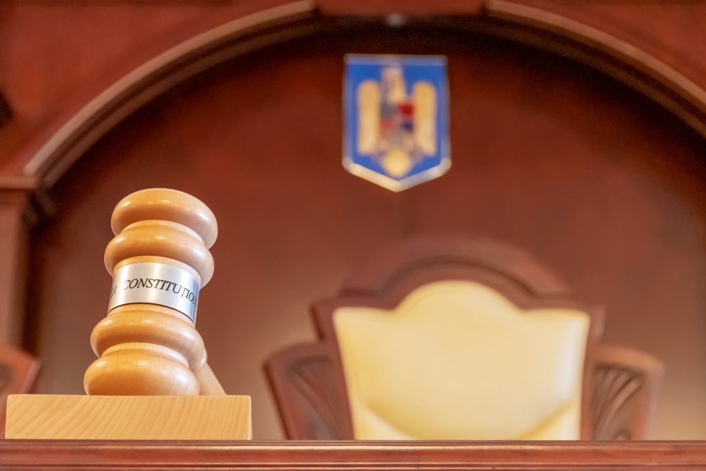 Elena Lasconi, prima reacție după decizia CCR privind renumărarea voturilor la alegerile prezidențiale