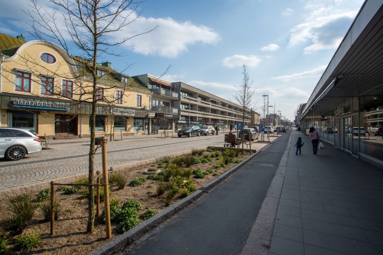 Cum arată Älmhult, orașul suedez de unde vine Ikea. Câte magazine ale companiei sunt în România