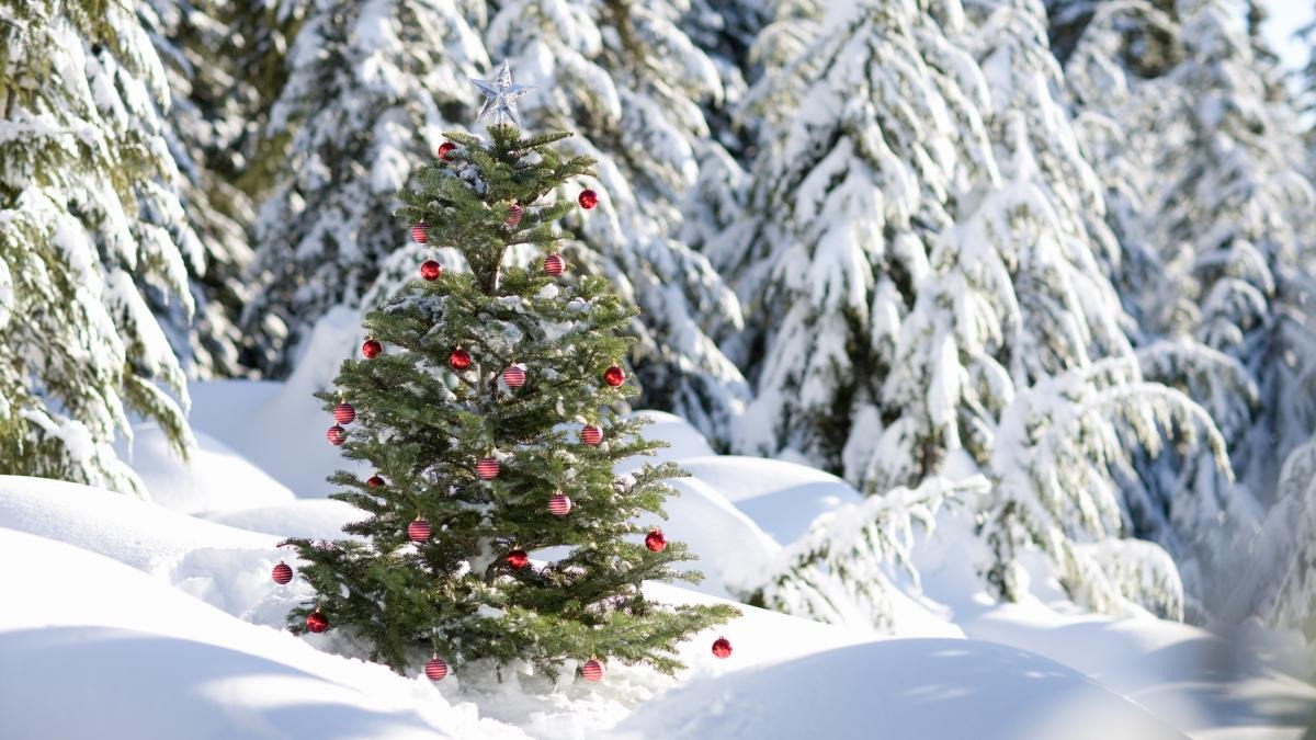 Cum va fi vremea de Crăciun