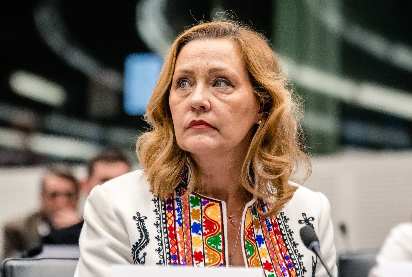 Elena Lasconi, după decizia CCR