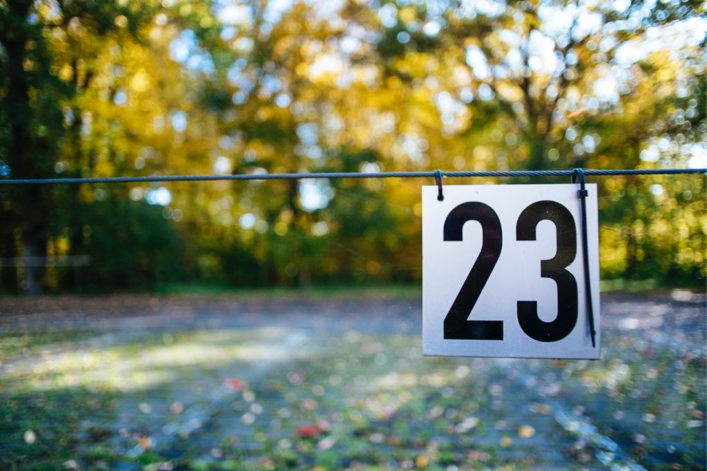 Previziuni numerologice zilnice