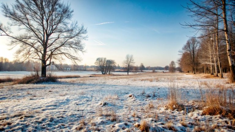 Prognoza lunii februarie: Ce ne rezervă vremea în următoarele săptămâni