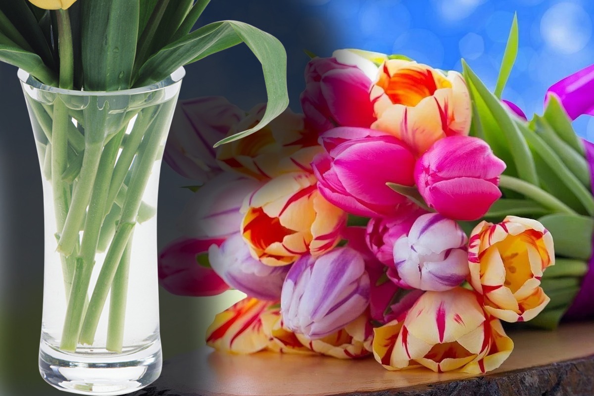 Cât pot rezista florile în vază