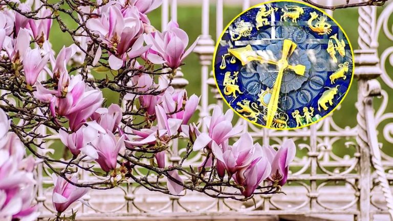 Horoscop luna martie. Zodiile care trec prin grele încercări, la început de primăvară