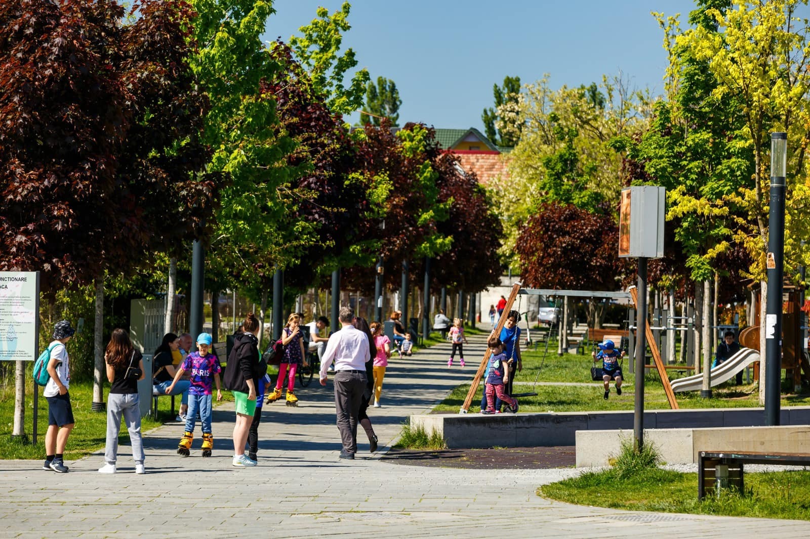 Schimbările climatice afectează sănătatea