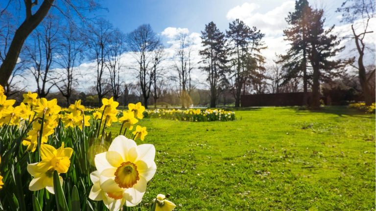 Vremea de 1 Mai. Ce ne așteaptă în minivacanță și cum va fi sfârșitul primăverii, potrivit ANM