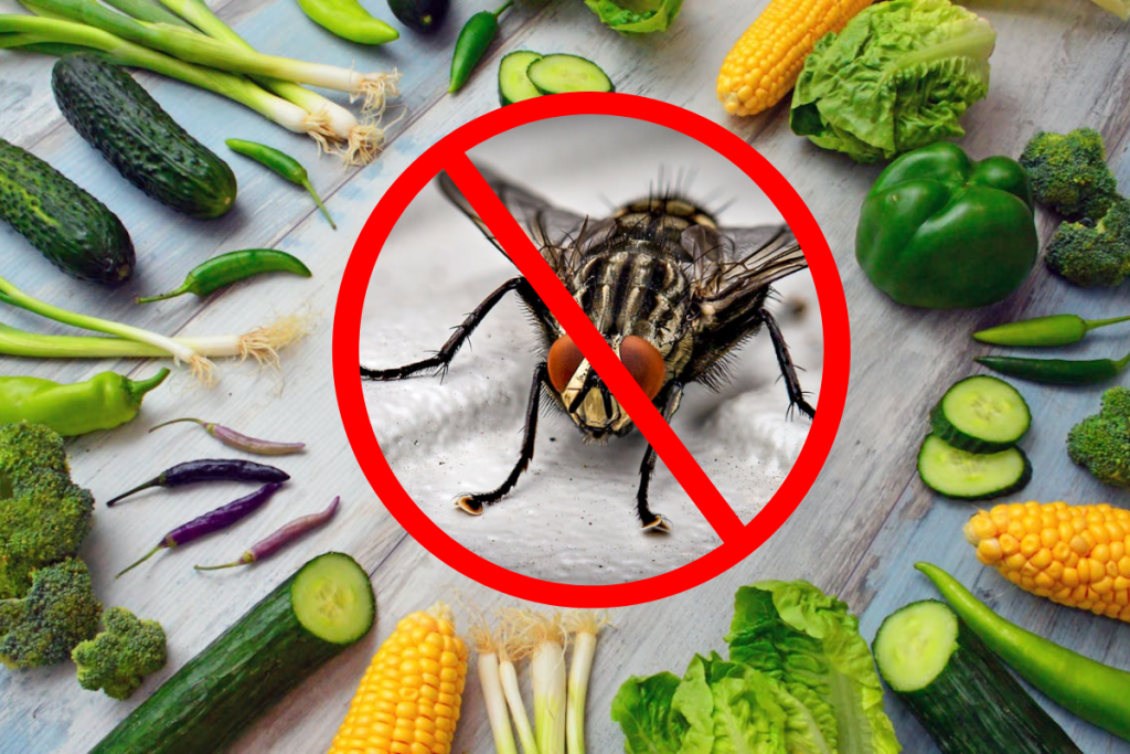 Trucuri naturale contra muștelor