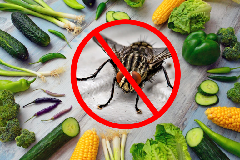 Insectele nu suportă această legumă. Soluția ieftină care le ține la distanță