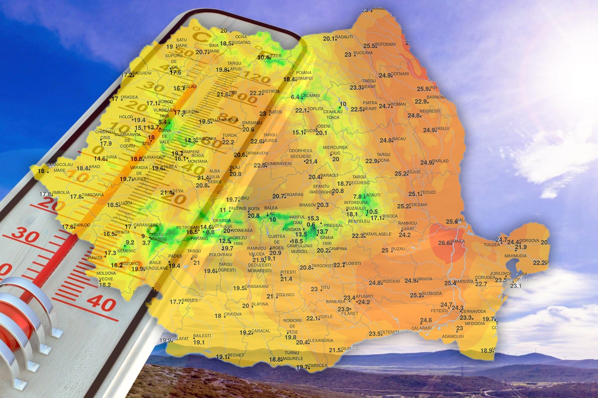 Cod galben de caniculă