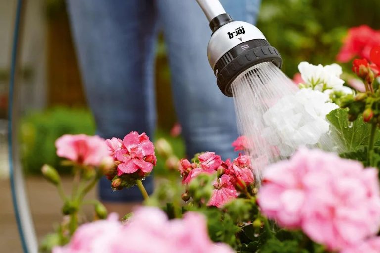 Cum să uzi corect plantele vara. Sfaturi utile pentru o grădină sănătoasă în sezonul cald