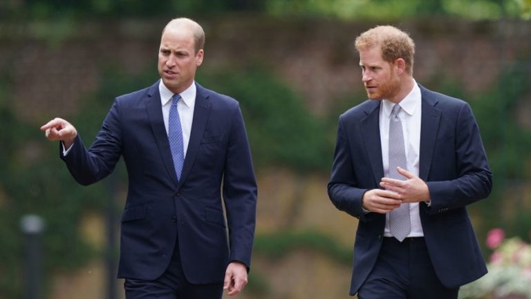 Prințul William și Prințul Harry nu vor moșteni casa mamei lor. Cine va primi casa copilăriei Prințesei Diana